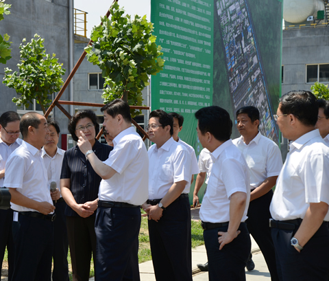 省委书记到金能02